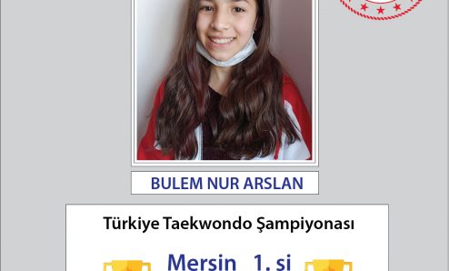 Türkiye Taekwondo Şampiyonası'nda Büyük Başarı